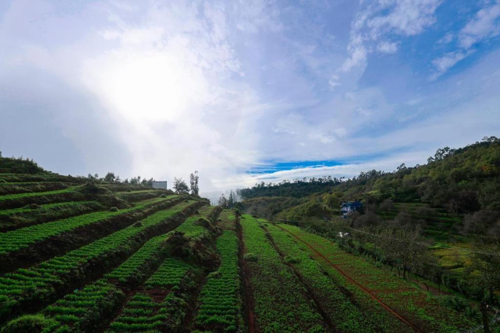 Starlight Hotels Kodai Kodaikanal Dış mekan fotoğraf