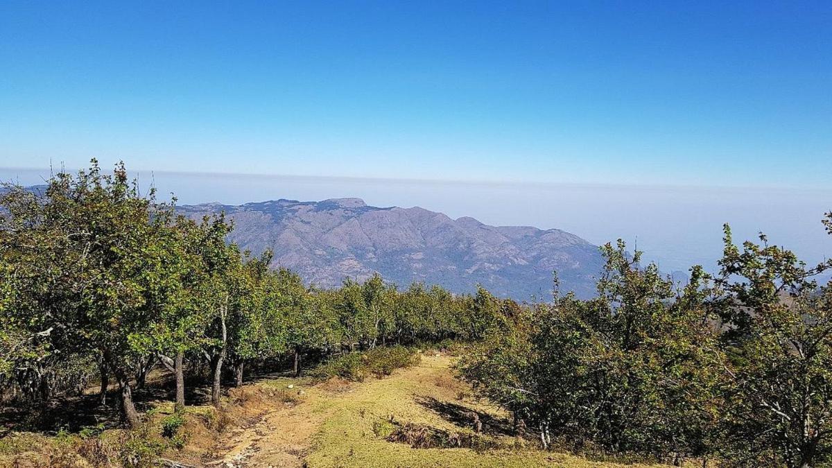 Starlight Hotels Kodai Kodaikanal Dış mekan fotoğraf