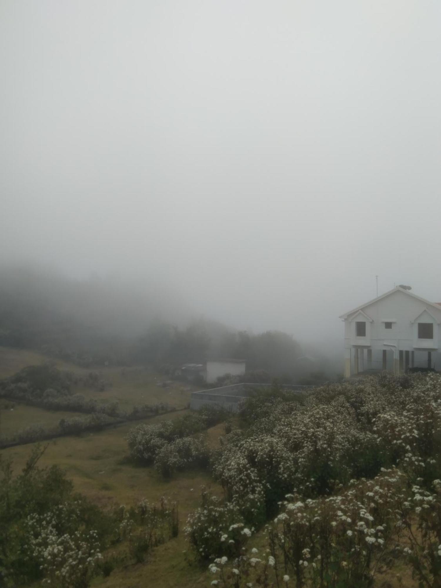 Starlight Hotels Kodai Kodaikanal Dış mekan fotoğraf